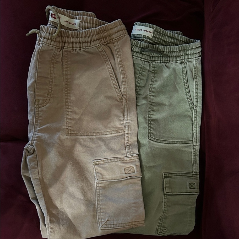 Levi's Kids Sweatpants - Sage and khaki